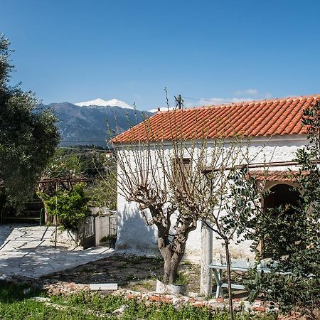 Traditional House Alikampos Exterior foto